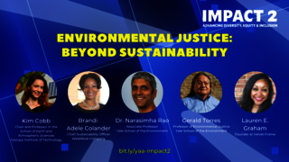 IMPACT 2: Environmental Justice: Beyond Sustainability 